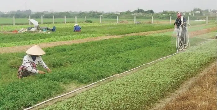 Cách làm hay giúp Huế đạt hiệu quả trong công tác giảm nghèo đa chiều