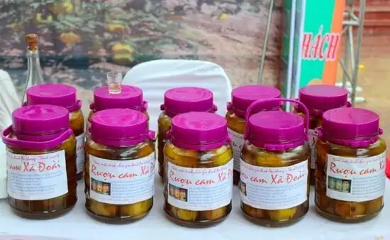 Cam xứ Nghệ nâng tầm giá trị