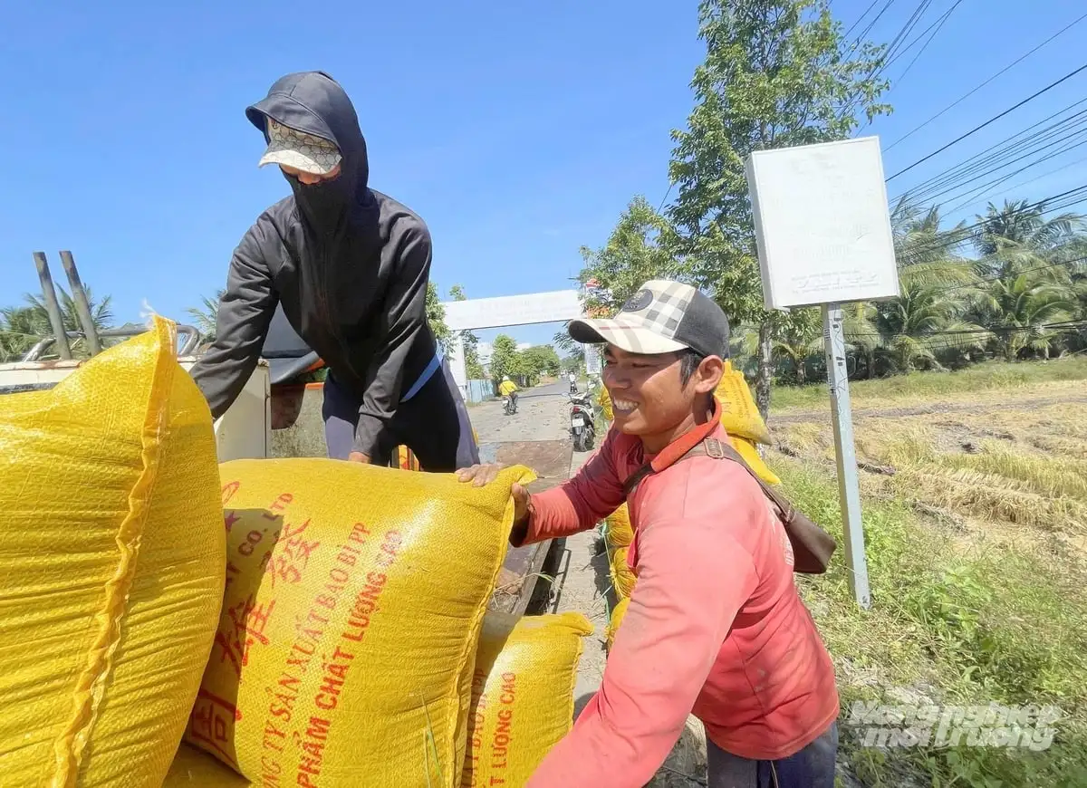 Chế phẩm sinh học – giải pháp xanh xử lý rơm rạ