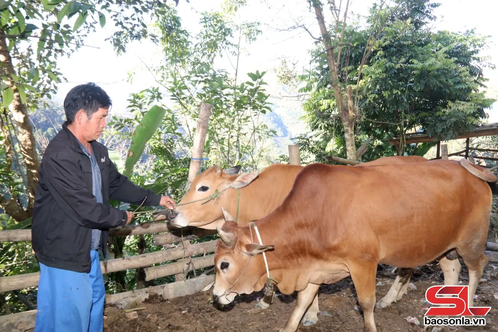 Chiềng Lao xây dựng nông thôn mới