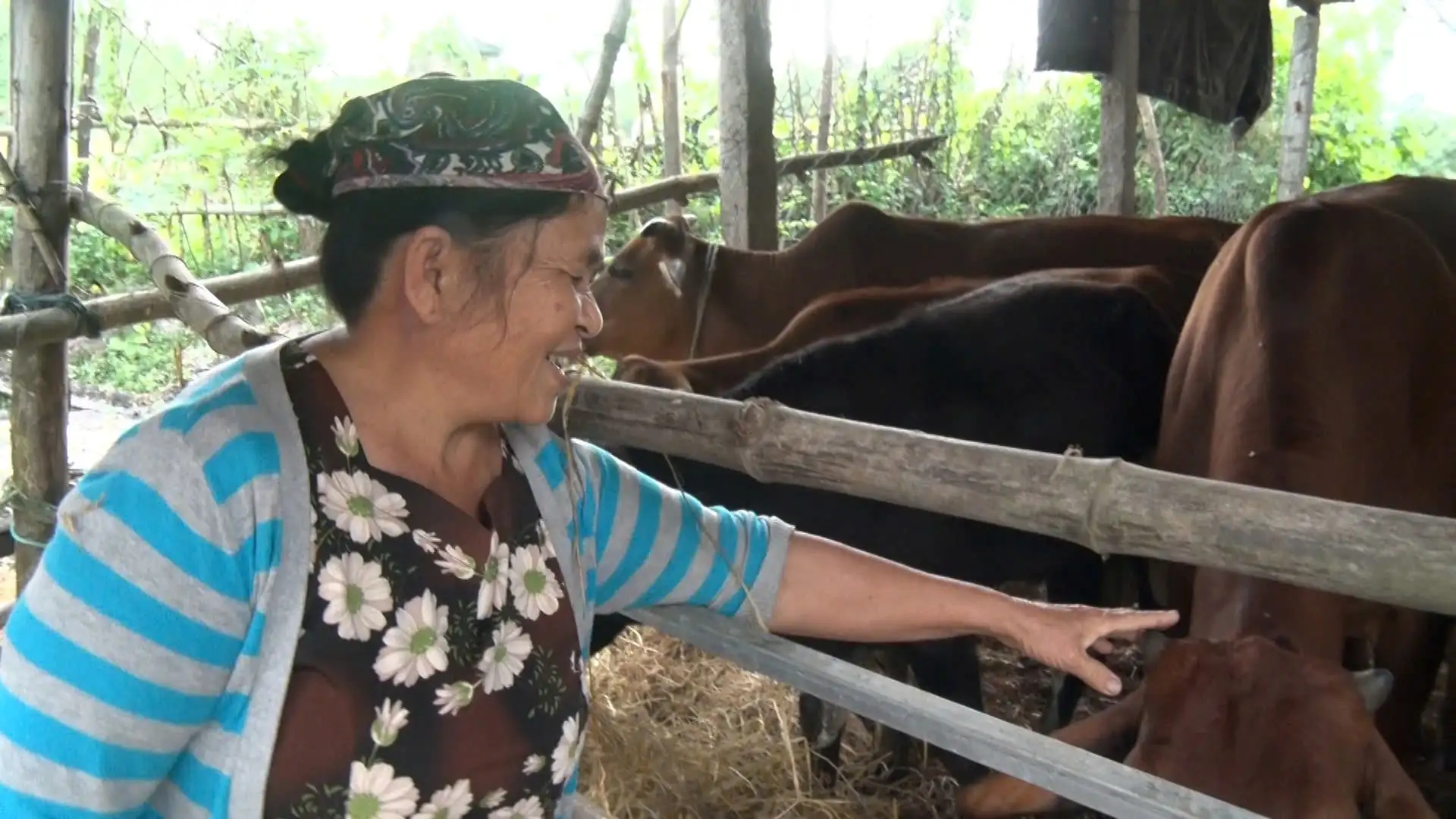 Chung sức phát triển kinh tế