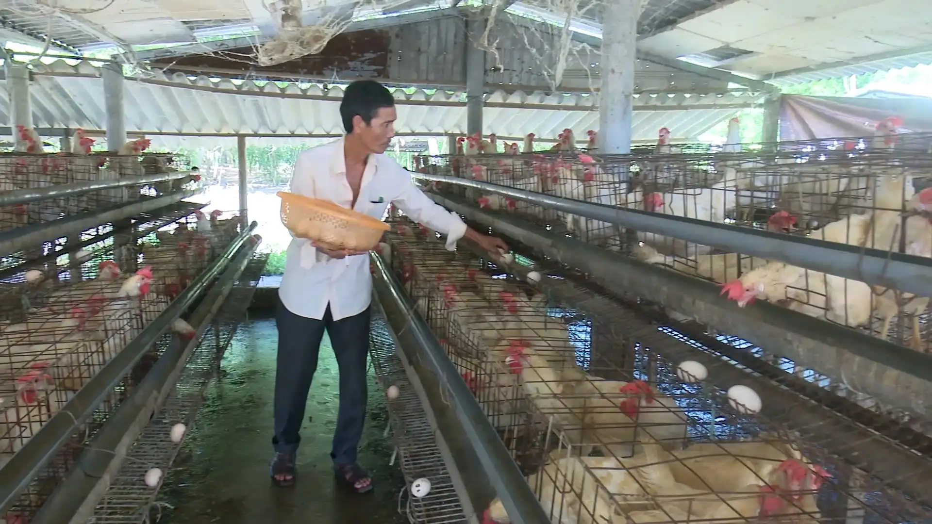 Chung sức phát triển kinh tế