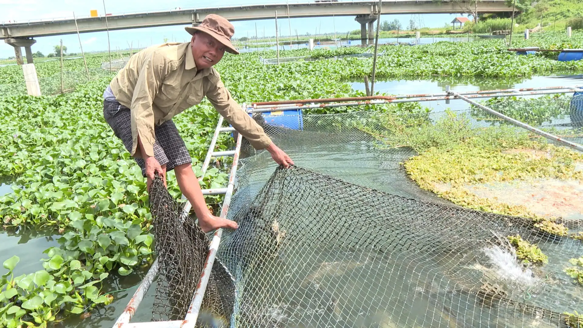 Chung sức phát triển kinh tế