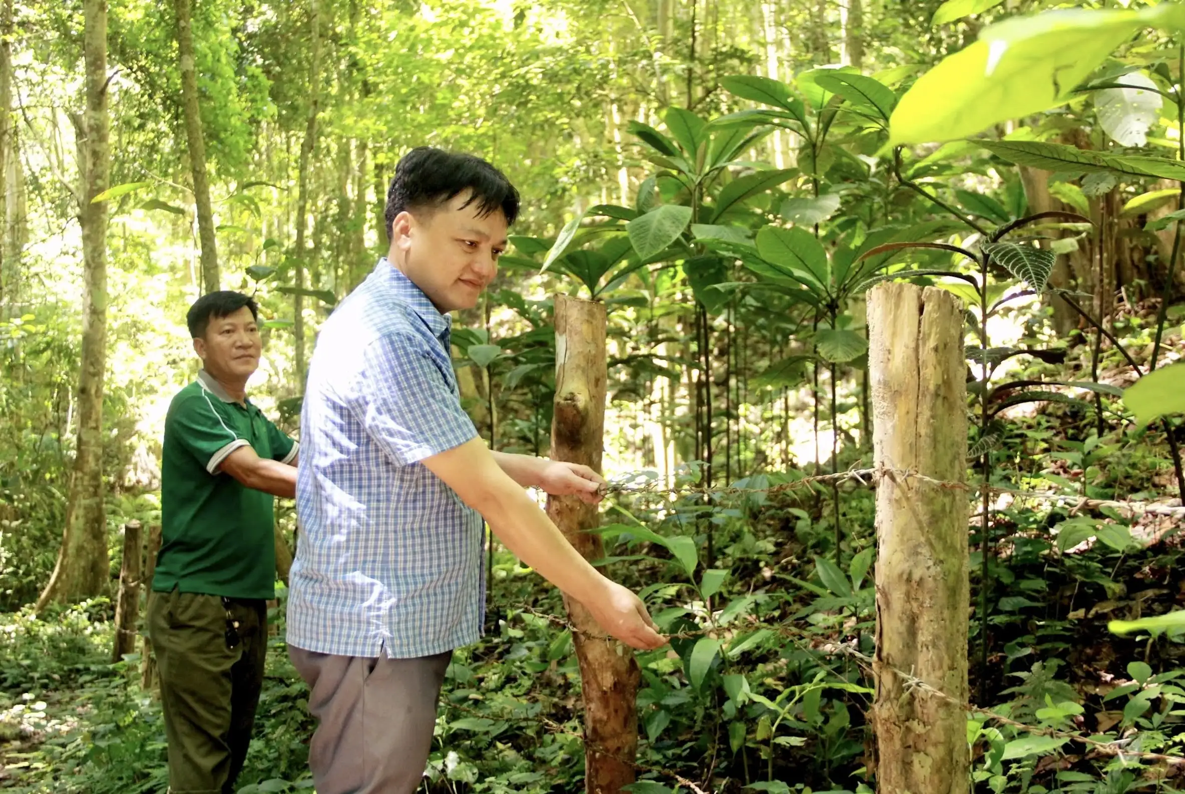 Chương trình Mục tiêu Quốc gia phát huy tối đa hiệu quả dưới những tán rừng xứ Nghệ