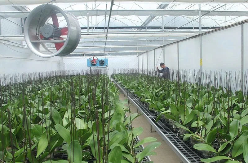 Chuyển đổi số tạo đột phá phát triển nông nghiệp bền vững