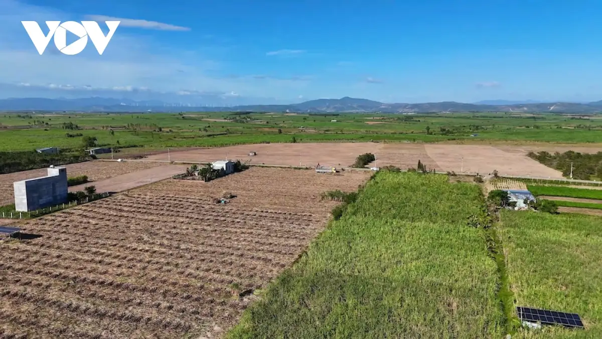 Chuyển đổi số và kinh tế xanh – đòn bẩy để nông sản Gia Lai vươn xa