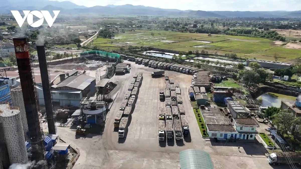 Chuyển đổi số và kinh tế xanh – đòn bẩy để nông sản Gia Lai vươn xa