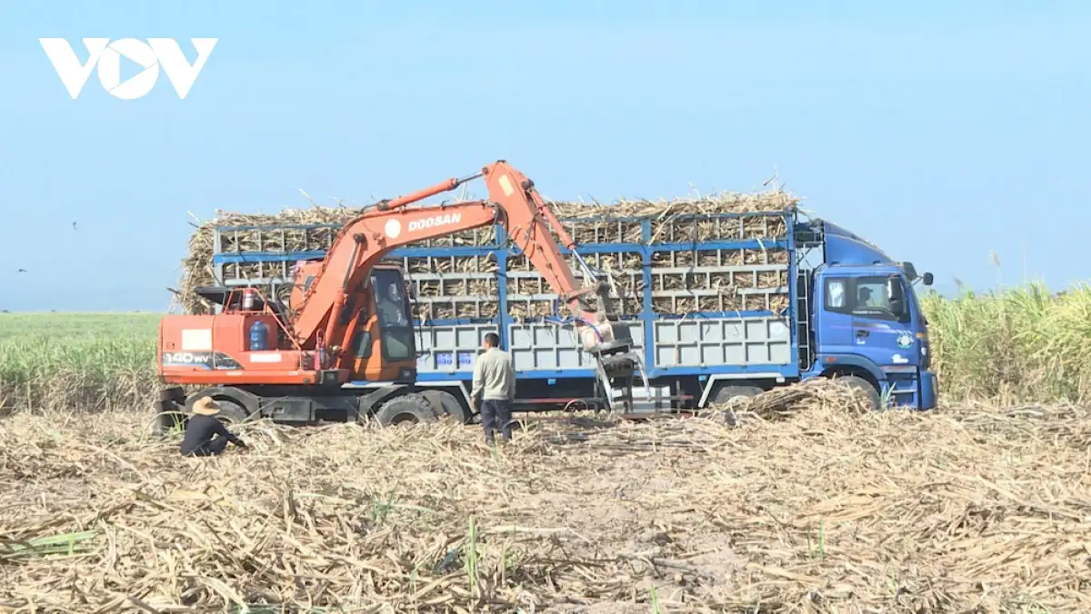 Chuyển đổi số và kinh tế xanh – đòn bẩy để nông sản Gia Lai vươn xa