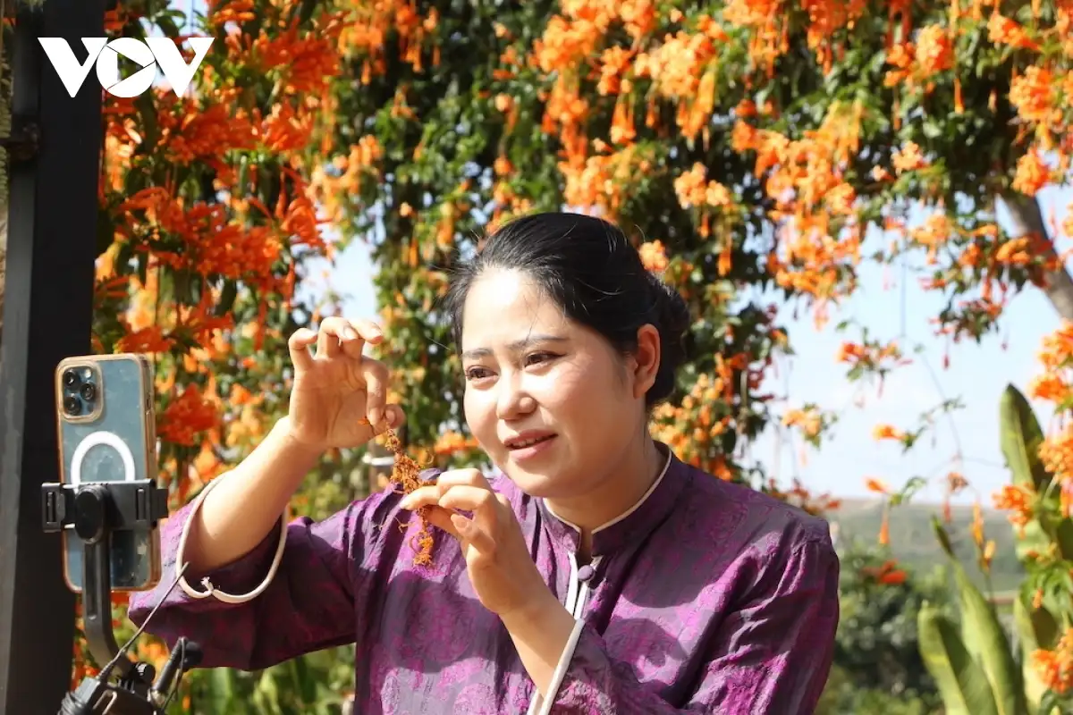 Chuyển đổi số và kinh tế xanh – đòn bẩy để nông sản Gia Lai vươn xa