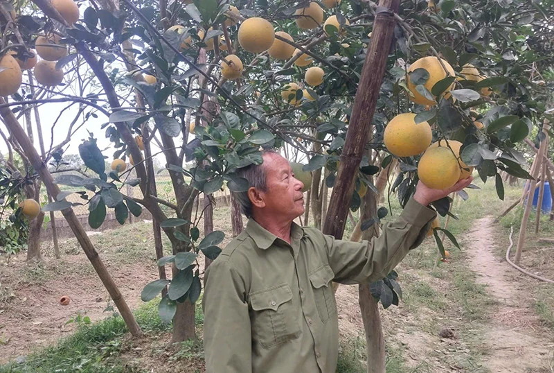 Chuyện sản phẩm OCOP ngày tết (Bài 3): “Dấu lặng…”