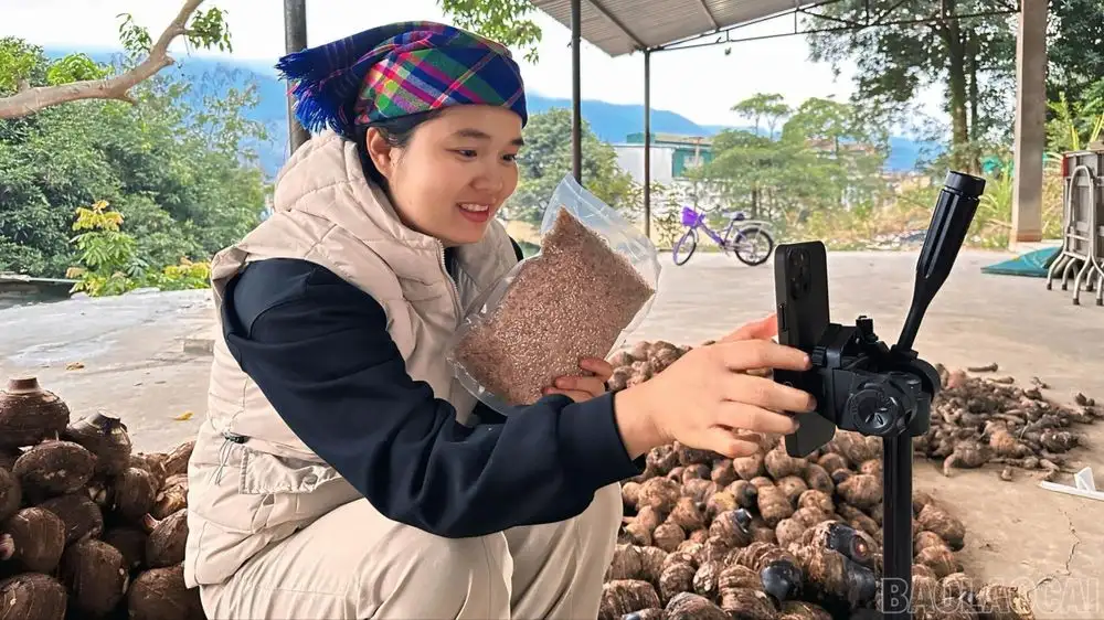 Đặc sản vùng cao ‘lên sàn’ đón Tết