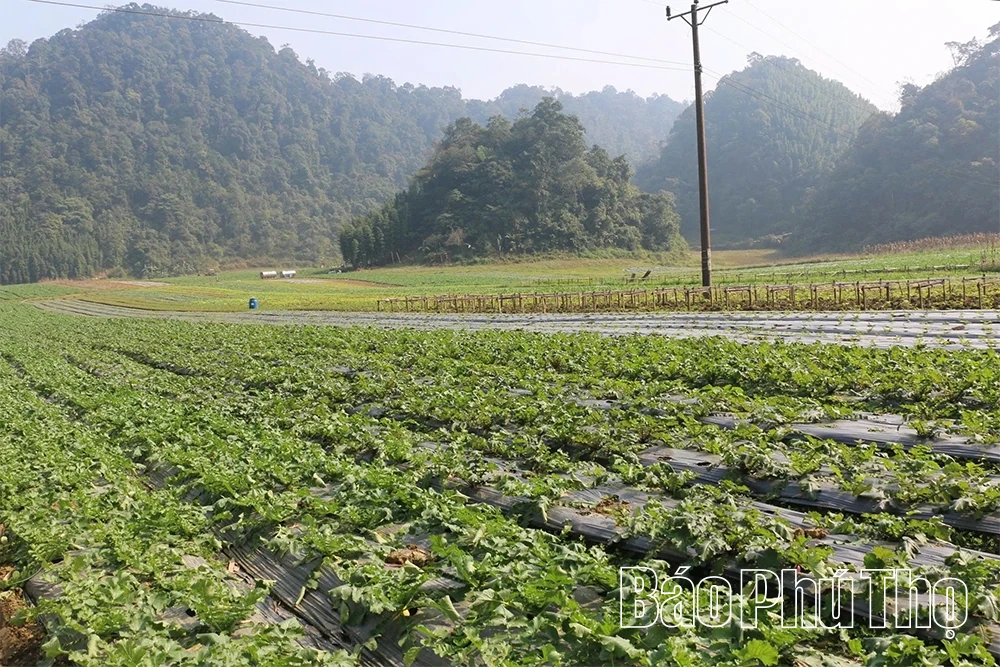 Đánh thức tiềm năng của Vân Sơn