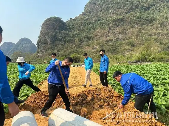 Dấu ấn thanh niên trong xây dựng nông thôn mới