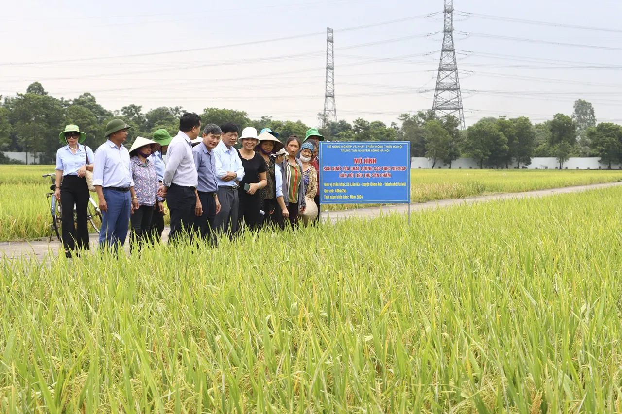 Đến năm 2030, truy xuất nguồn gốc 100% sản phẩm OCOP