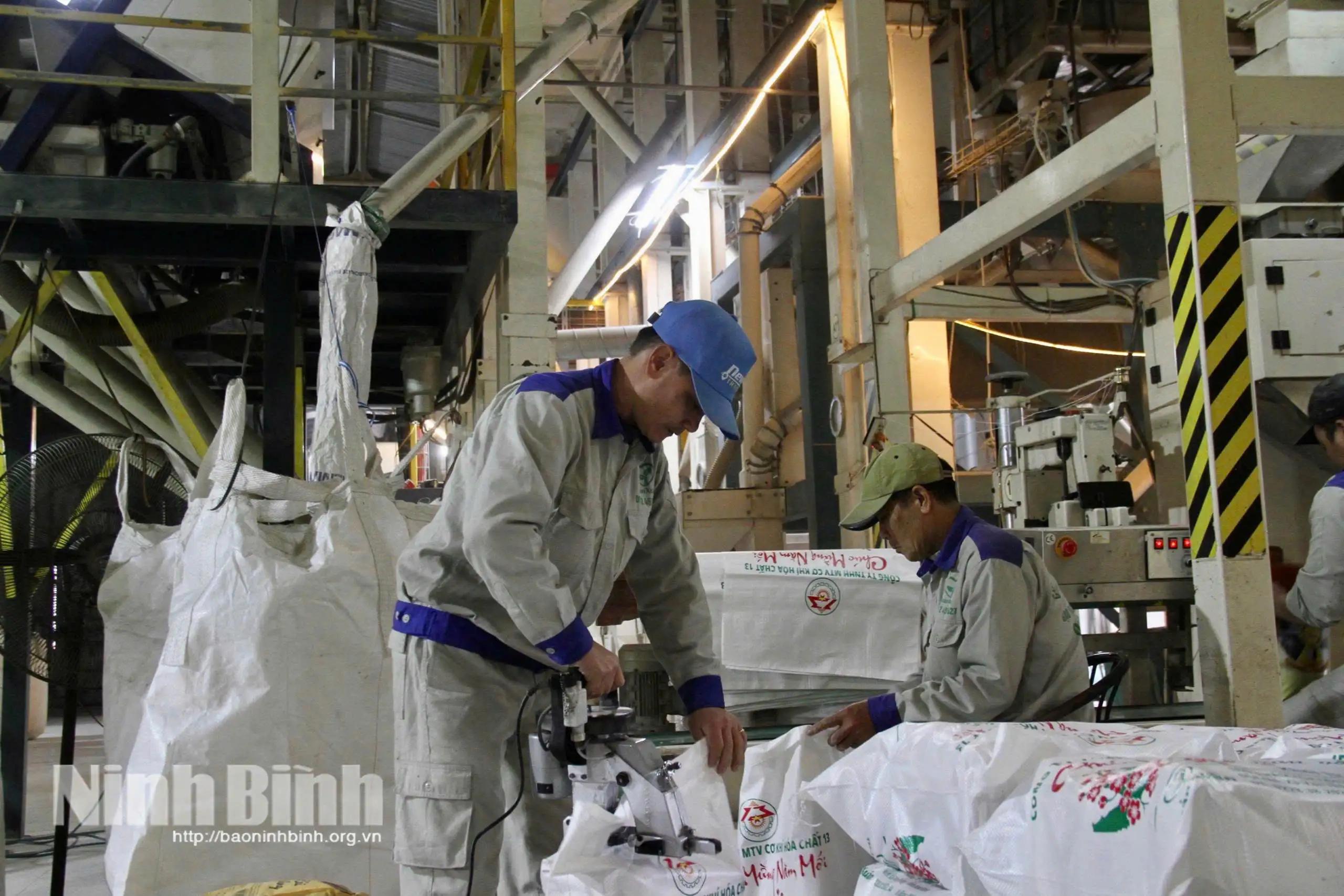 Doanh nghiệp ứng dụng công nghệ nâng tầm giá trị nông sản