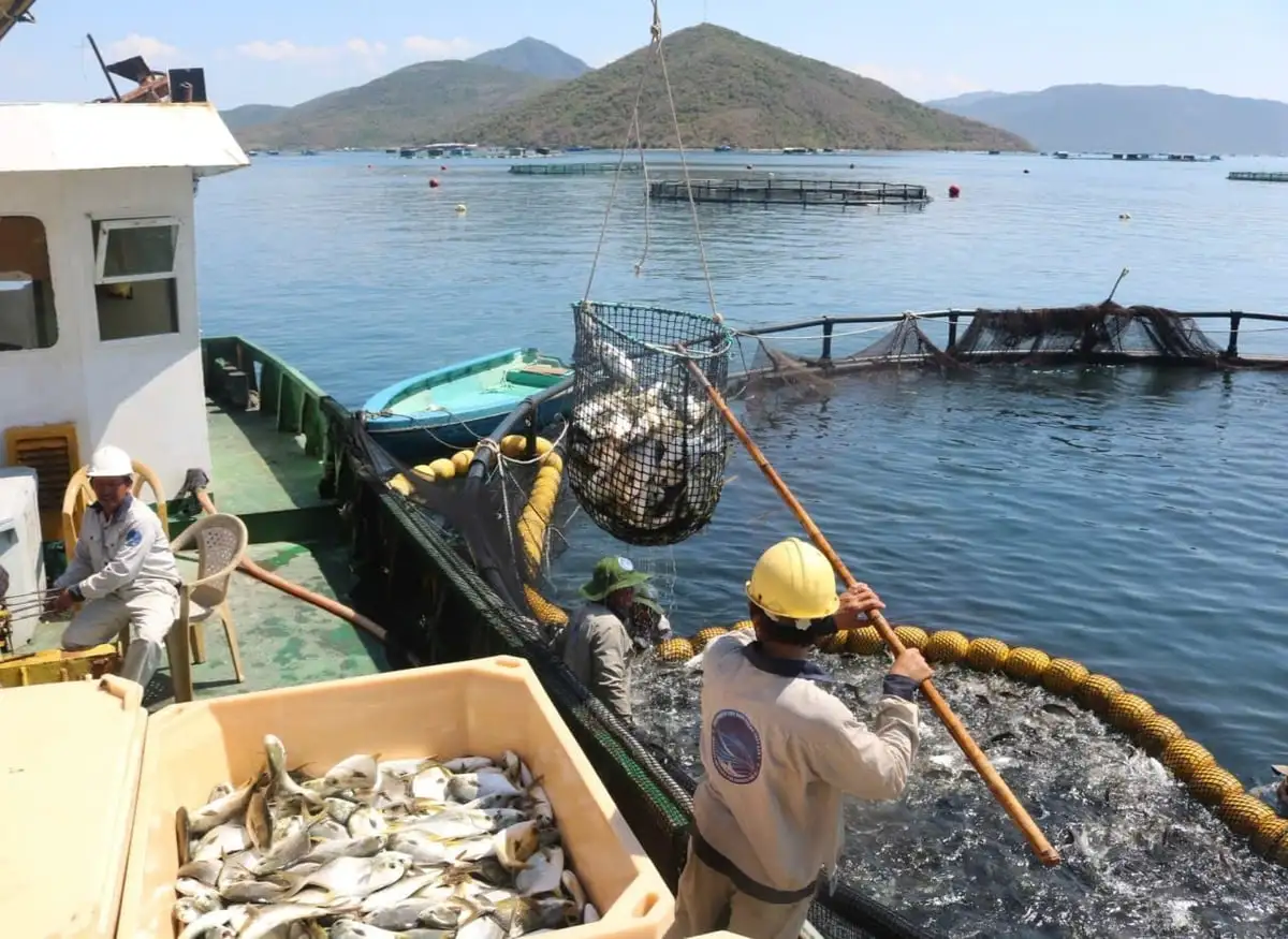 Đòn bẩy kinh tế biển và nông nghiệp công nghệ cao của Khánh Hòa