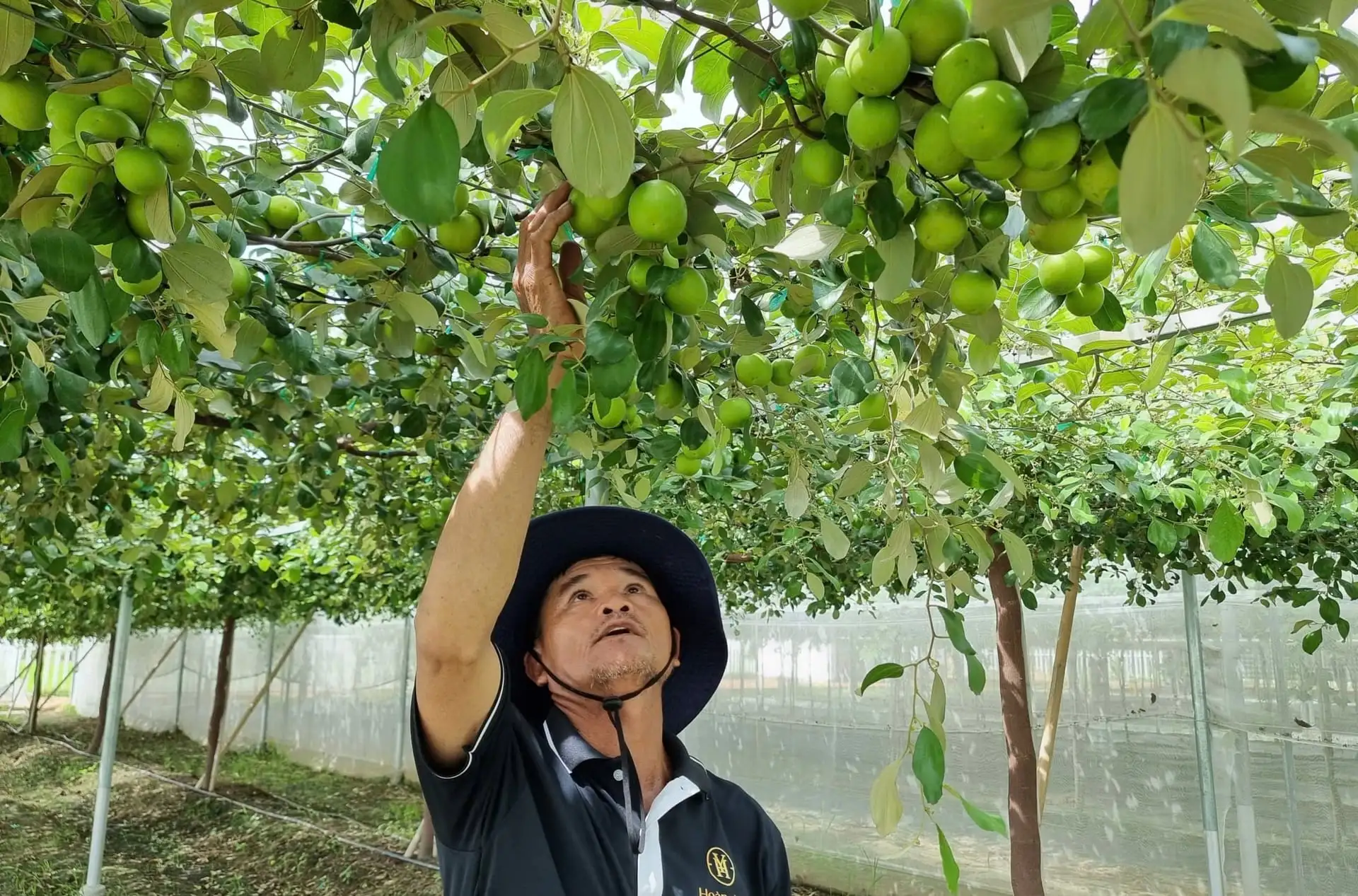 Đòn bẩy kinh tế biển và nông nghiệp công nghệ cao của Khánh Hòa