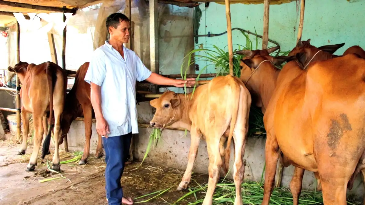 Đòn bẩy thoát nghèo cho đồng bào Khmer