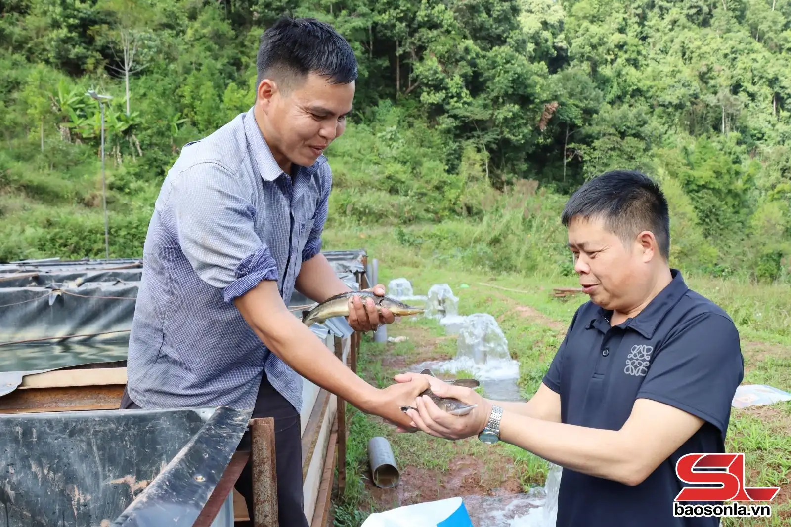 Đồng hành cùng nông dân phát triển kinh tế