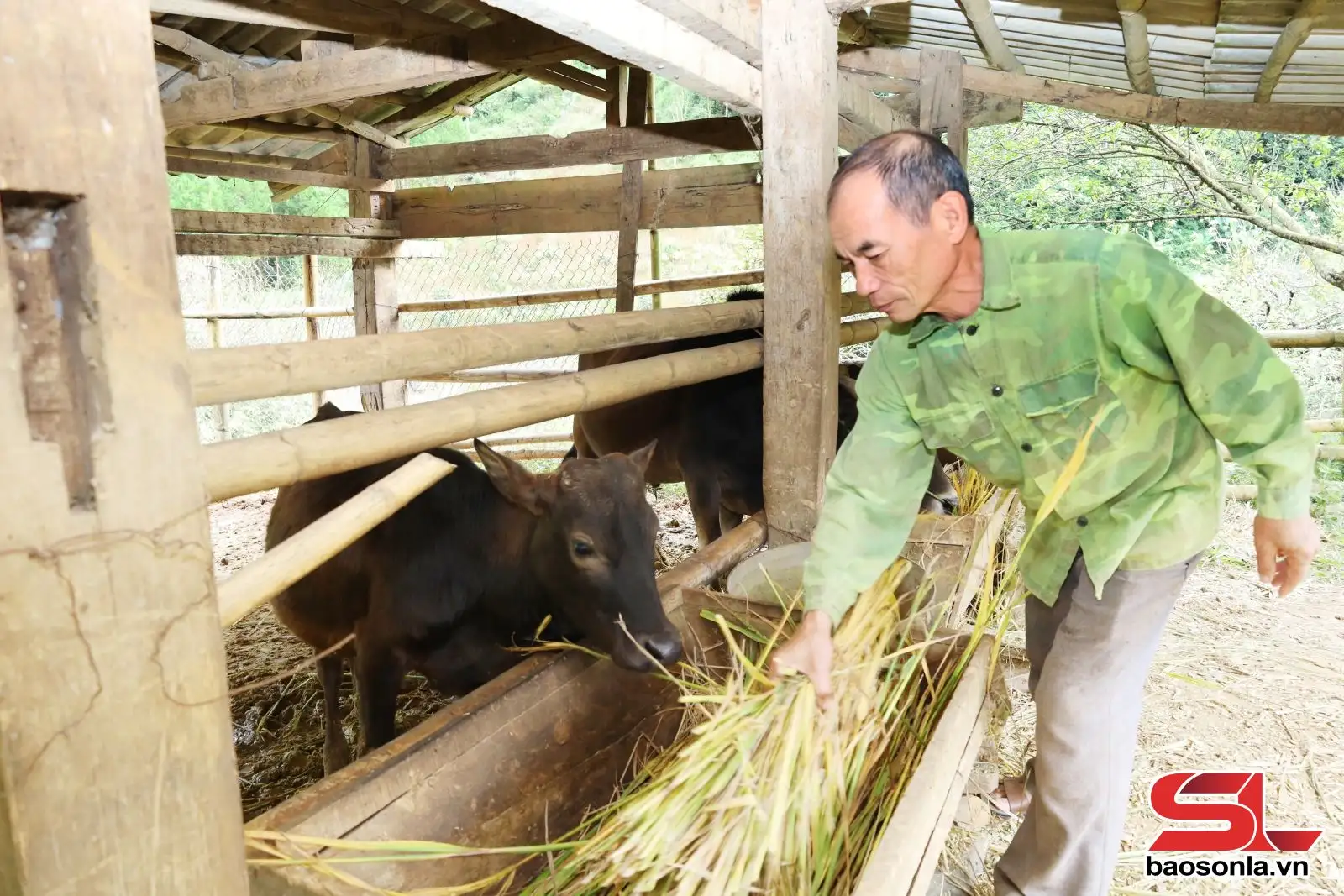 Đồng hành cùng nông dân phát triển kinh tế