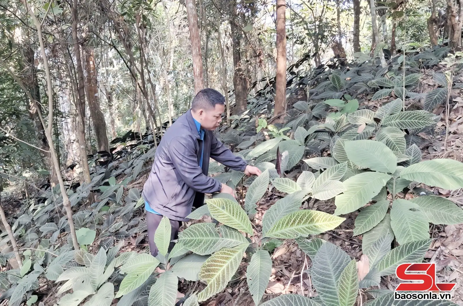Đồng hành cùng nông dân phát triển kinh tế