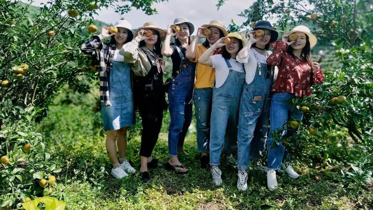 Du lịch trải nghiệm gắn với sản phẩm OCOP – Cú hích kinh tế nông thôn Quảng Ninh