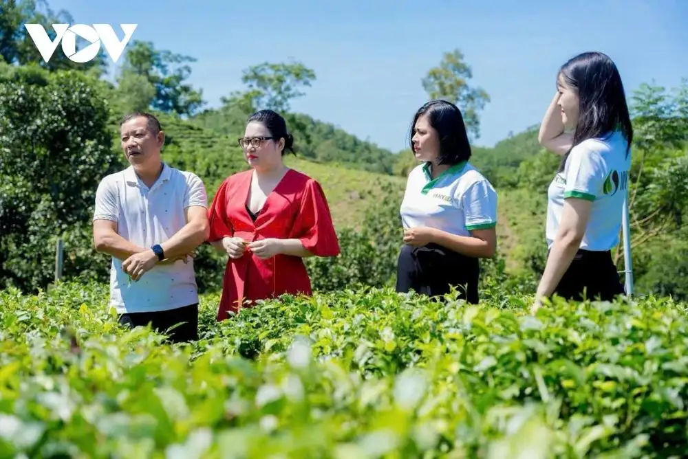 Đưa công nghệ số lên nương chè