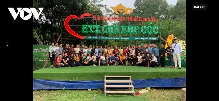 Đưa công nghệ số lên nương chè