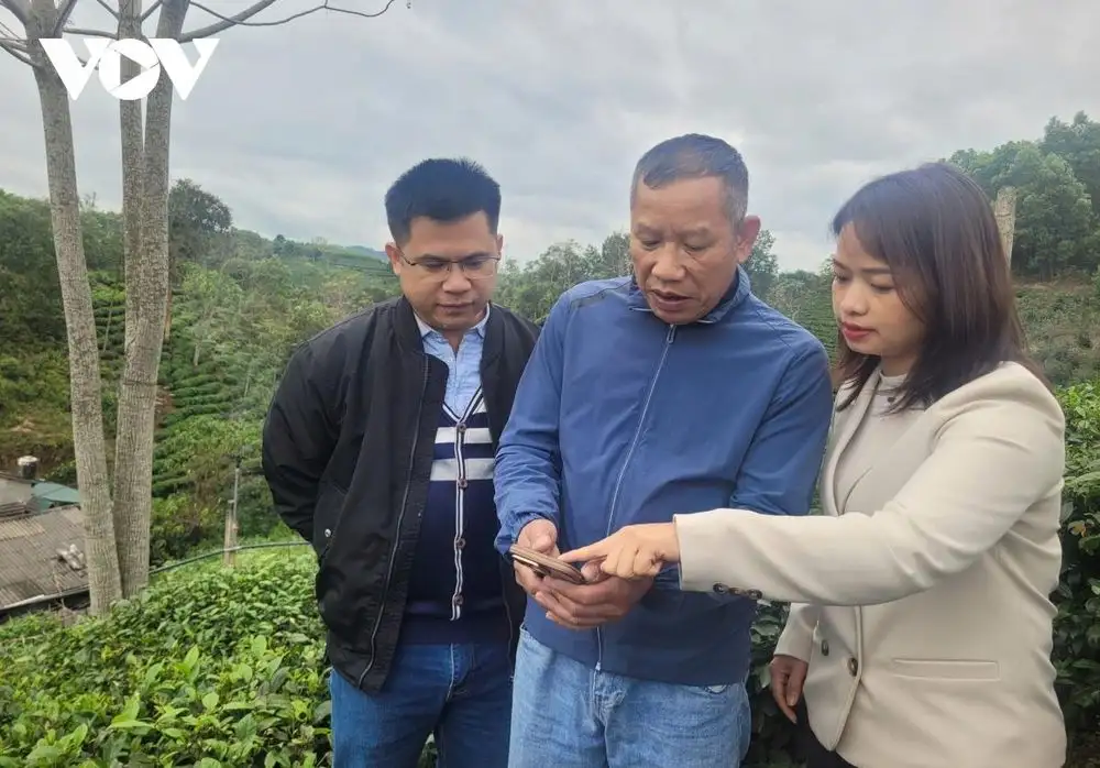 Đưa công nghệ số lên nương chè