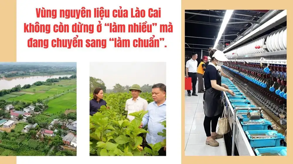 Gắn vùng nguyên liệu với chế biến: Nâng cao giá trị nông sản