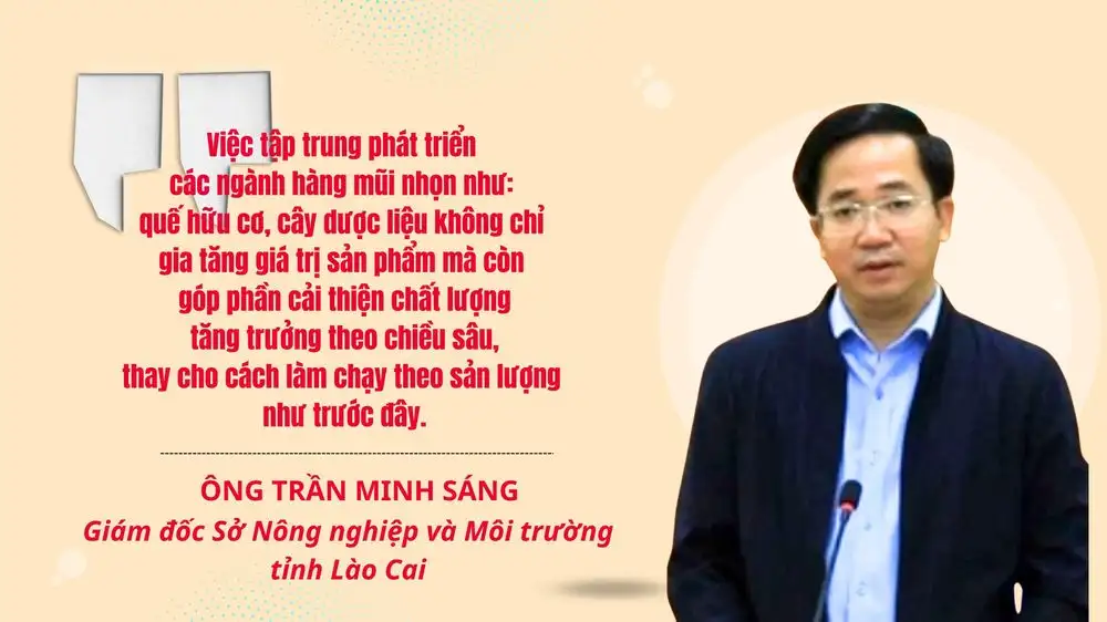 Gắn vùng nguyên liệu với chế biến: Nâng cao giá trị nông sản