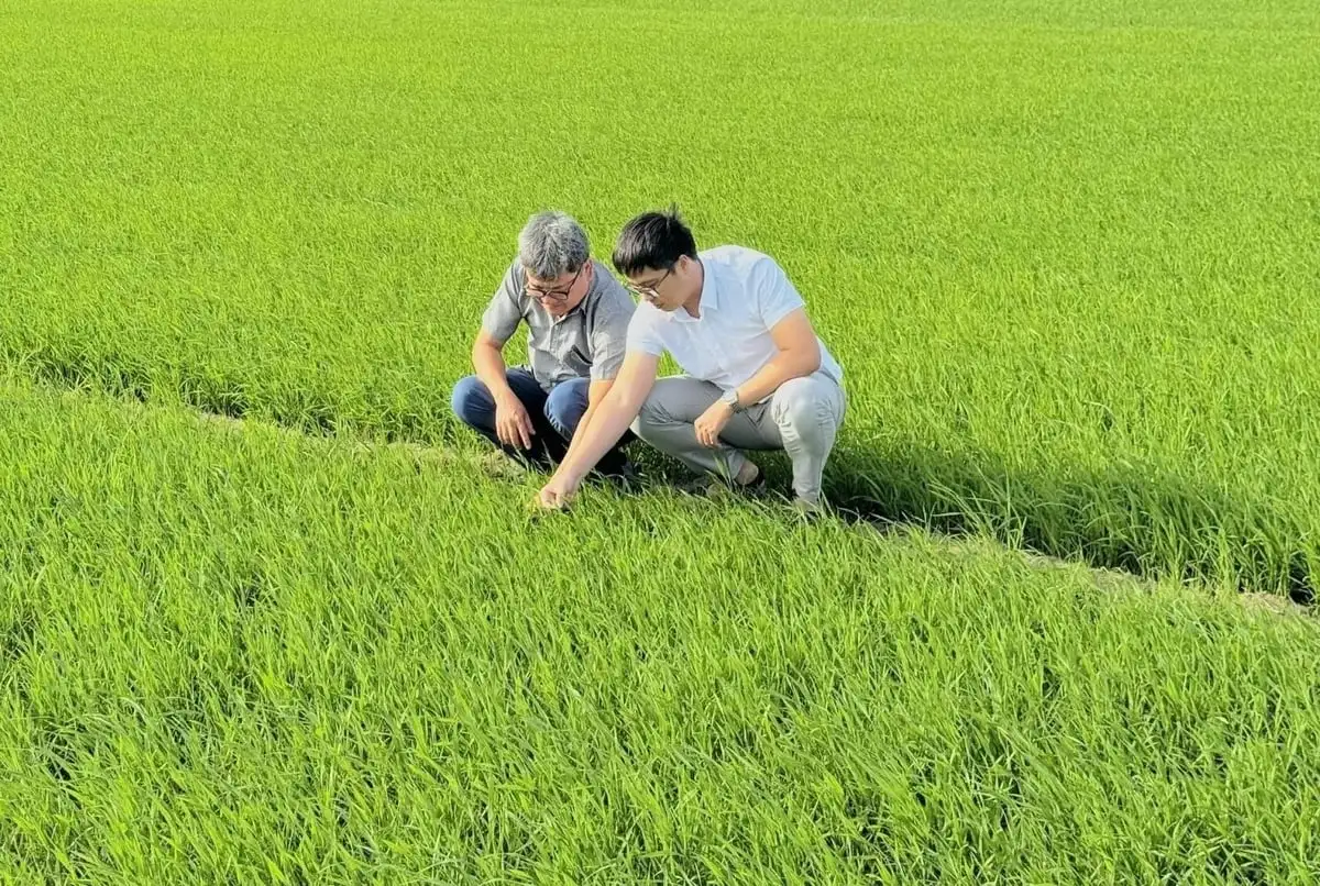 Gia Lai lên kế hoạch bảo vệ cây trồng, quyết giành thắng lợi vụ đông xuân