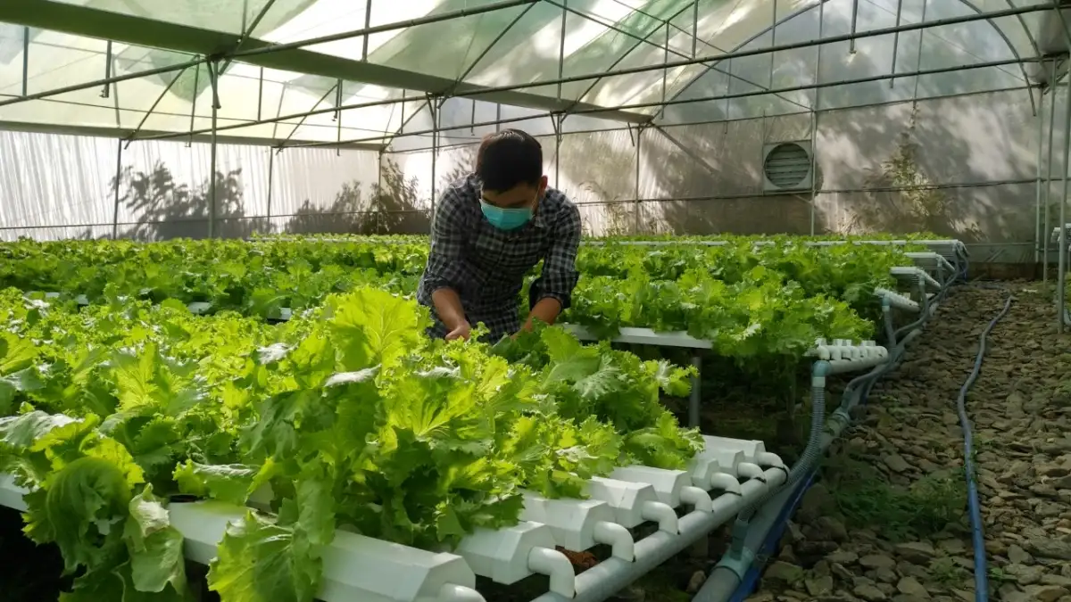 Giảm nghèo đa chiều: Từ trụ cột chính sách đến động lực chuyển đổi số