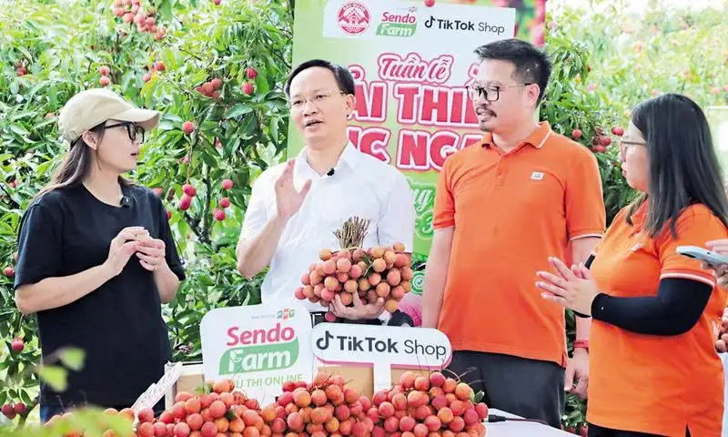 Giảm nghèo từ ‘khoảng trống thông tin’: Kinh nghiệm Bắc Ninh giúp nông dân vươn lên bền vững