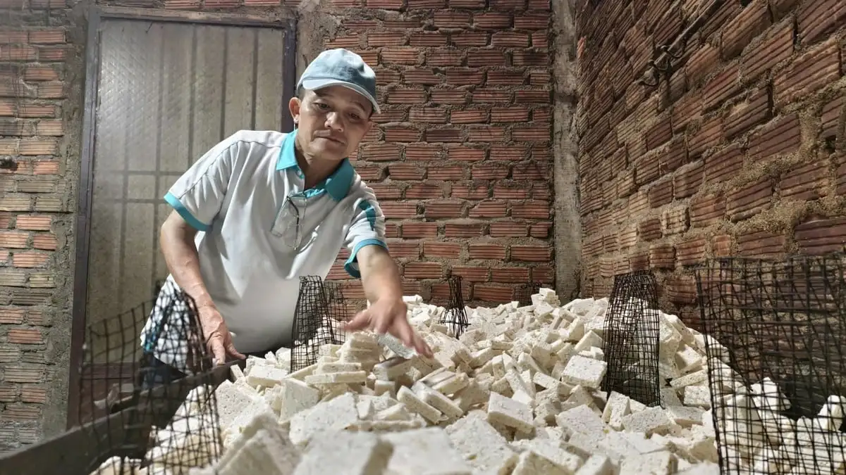 Giữ hồn bánh truyền thống trong nhịp Tết quê