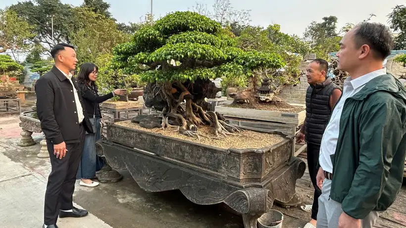 Hà Nội: Phát triển du lịch cộng đồng ven sông Hồng tại xã Hồng Vân