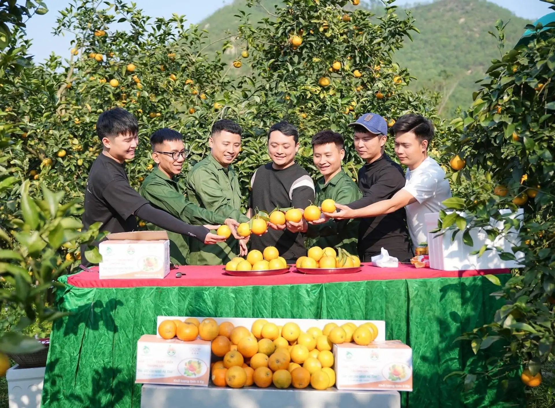 Hà Tĩnh ước thu gần 70 nghìn tấn cam