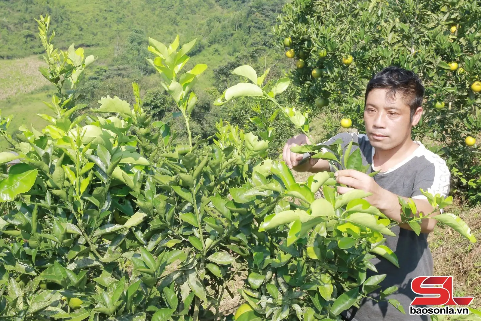 Hỗ trợ nhân dân phát triển kinh tế, xóa đói, giảm nghèo