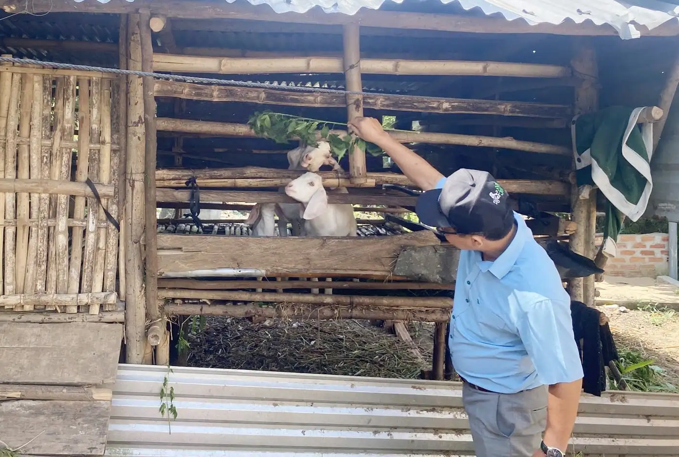 Hỗ trợ sinh kế cho đồng bào dân tộc thiểu số còn khó khăn