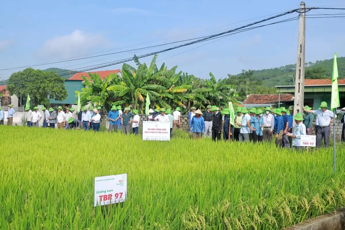 Hợp tác xã công nghệ cao – đòn bẩy nâng tầm nông nghiệp Nghệ An
