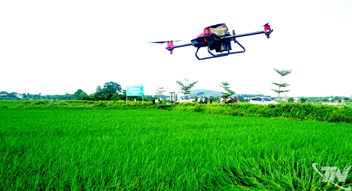 Hợp tác xã nông nghiệp đổi mới để hội nhập