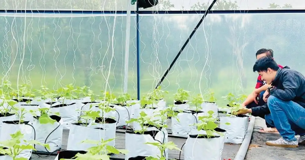 Huế: Phát triển các mô hình hợp tác xã kiểu mới theo hướng xanh, bền vững, giàu bản sắc