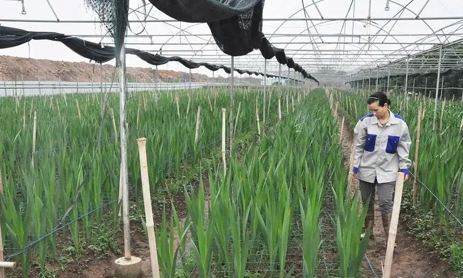 Hưng Yên đẩy mạnh truyền thông, củng cố hạ tầng thông tin, sách hỗ trợ cho mục tiêu giảm nghèo đến năm 2035