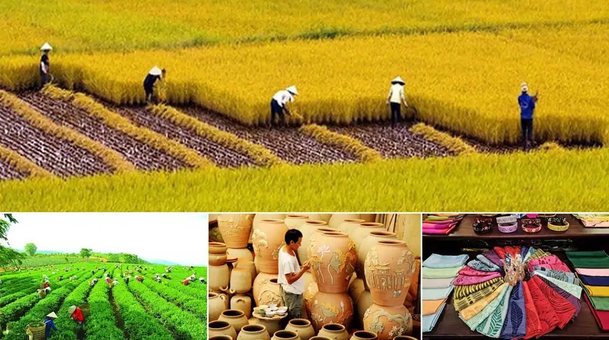 Hướng dẫn lựa chọn, phê duyệt dự án trong Chương trình mục tiêu quốc gia