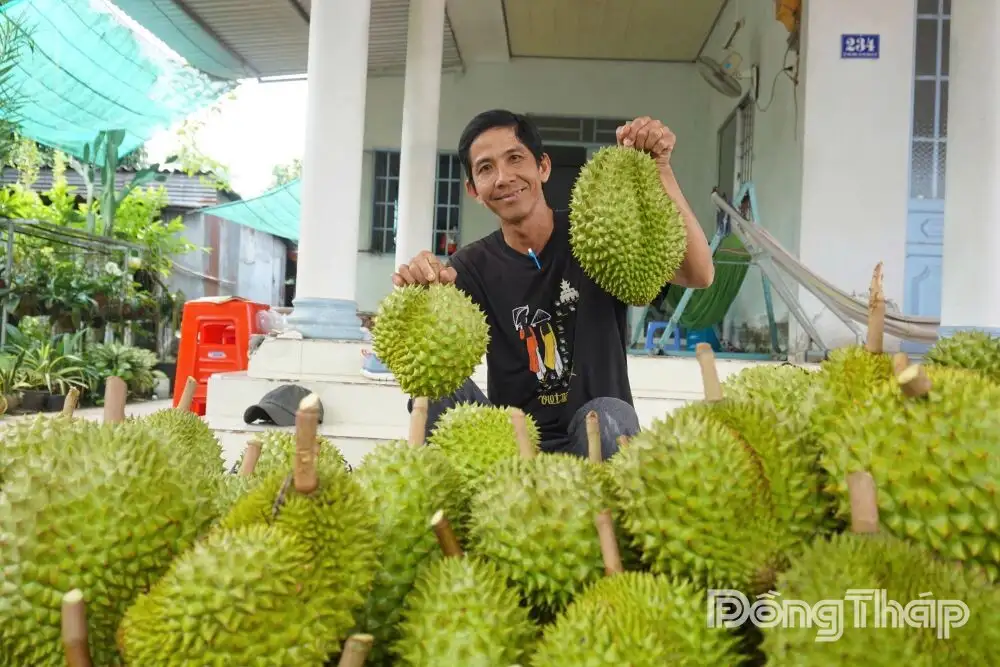 Hướng đến vùng nông nghiệp bền vững