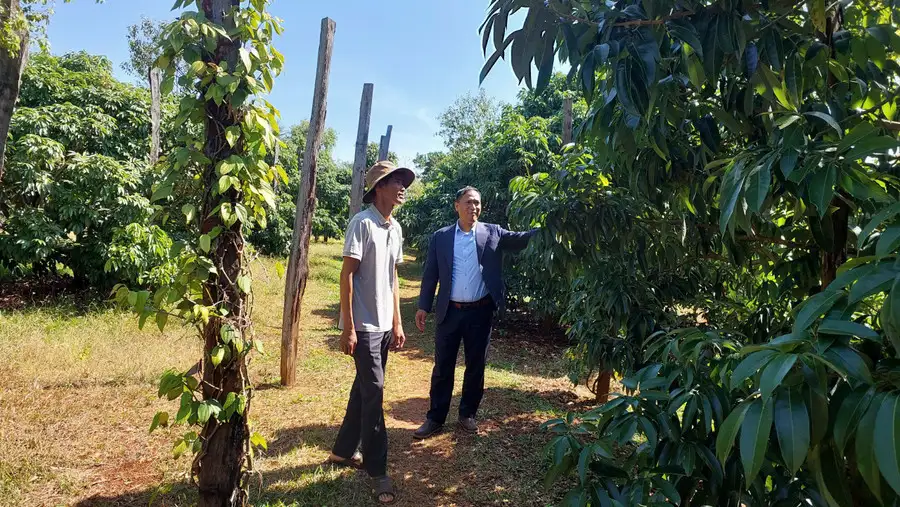 Hướng đến xây dựng nông thôn mới bền vững