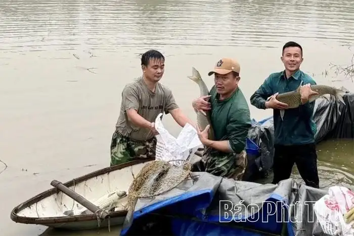 Hướng đi bền vững nâng cao thu nhập cho nông dân