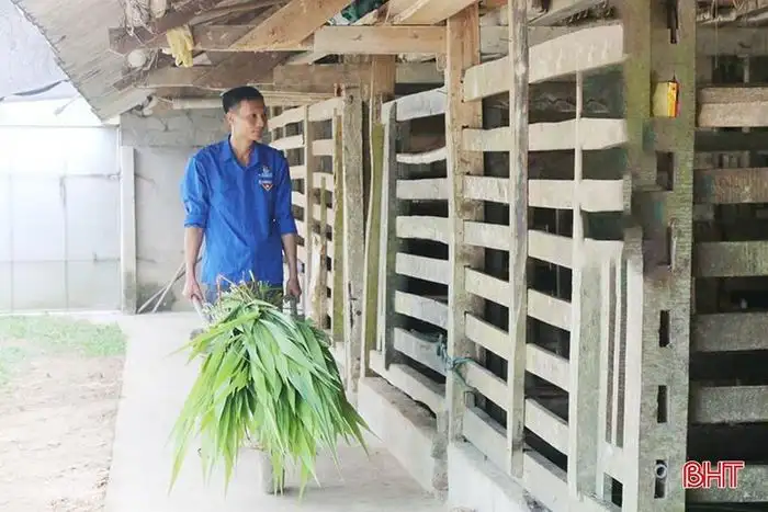 Hươu sao mở lối khởi nghiệp cho thanh niên Sơn Giang