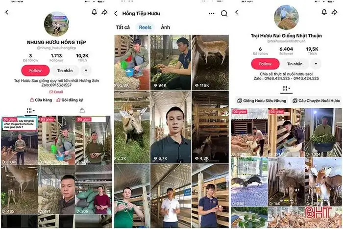 Hươu sao mở lối khởi nghiệp cho thanh niên Sơn Giang