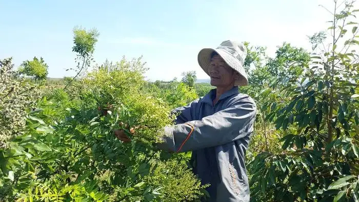 Ia Le: Hướng đến xây dựng nông thôn mới bền vững